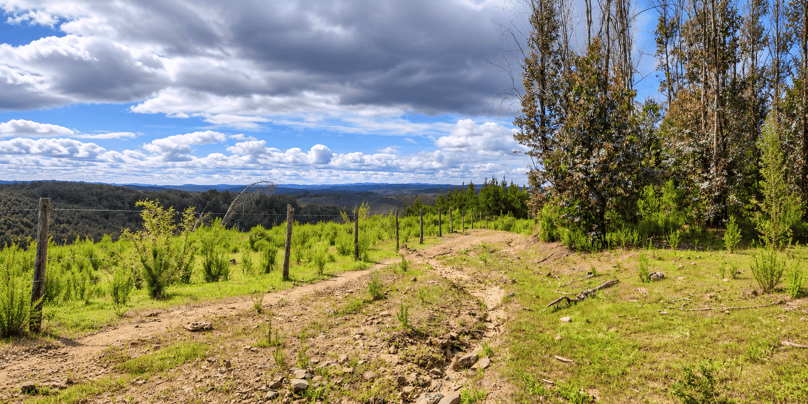 Sendero de tierra entre cerros verdes en Poco a Poco, con vista al valle