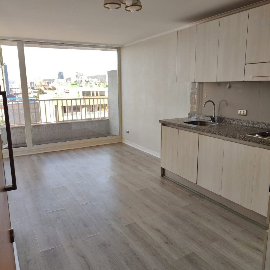 Living y cocina del departamento en Los Carreras 28